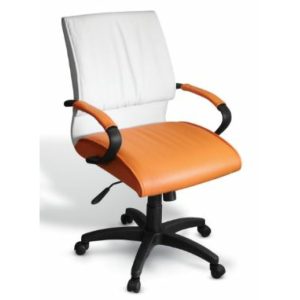 CONDOR MID BACK CHAIR 1024x1024 1